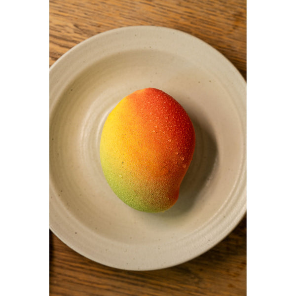 Vegan Mango Dessert