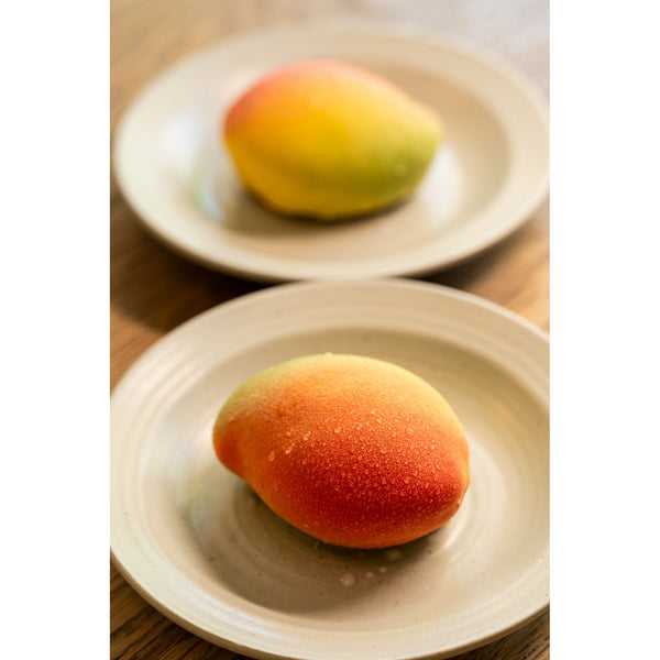 Vegan Mango Dessert